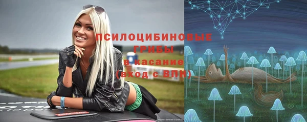 сатива Кодинск