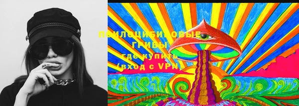 кокс Козельск