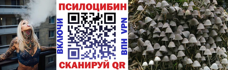 Галлюциногенные грибы Psilocybine cubensis  Собинка 